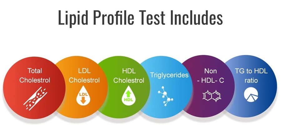 What Is Lipid Profile?