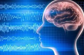 EEG (Electroencephalogram)